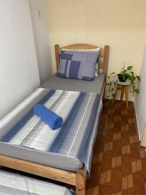 Apartment No Coracao De 3 Centro